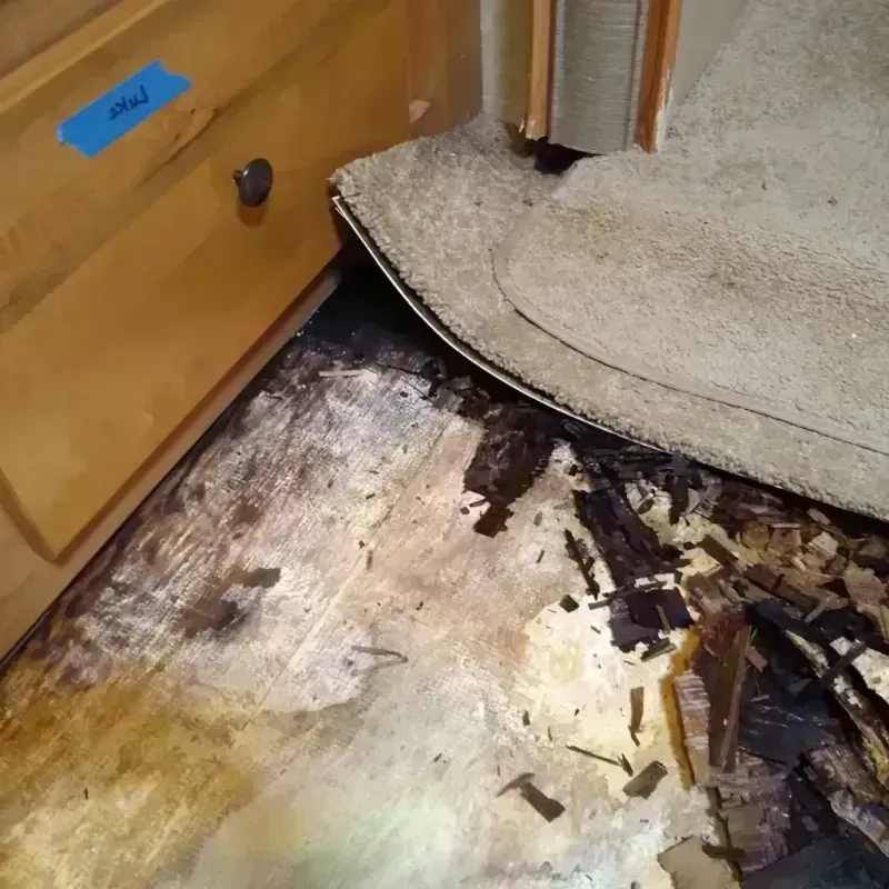 Best Wood Floor Water Damage Service in Mount Pocono, PA